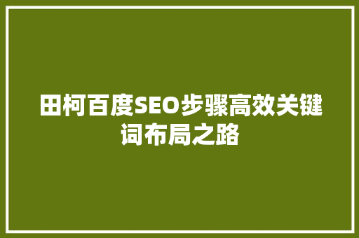 田柯百度SEO步骤高效关键词布局之路  第1张