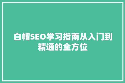 白帽SEO学习指南从入门到精通的全方位