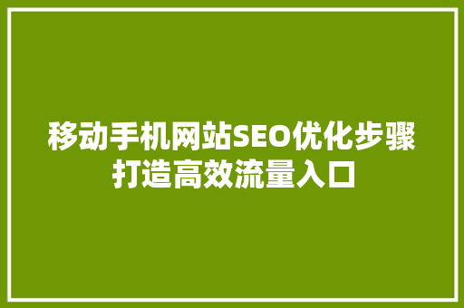 移动手机网站SEO优化步骤打造高效流量入口  第1张