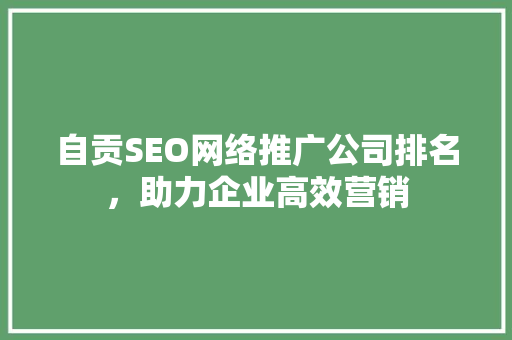 自贡SEO网络推广公司排名，助力企业高效营销