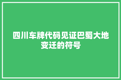 四川车牌代码见证巴蜀大地变迁的符号