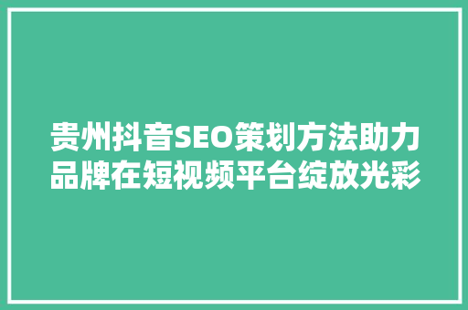 贵州抖音SEO策划方法助力品牌在短视频平台绽放光彩