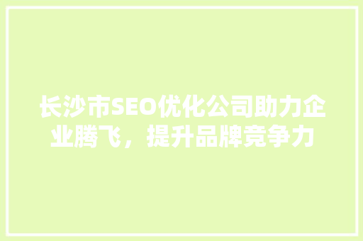 长沙市SEO优化公司助力企业腾飞，提升品牌竞争力