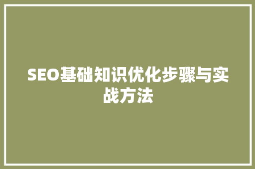 SEO基础知识优化步骤与实战方法