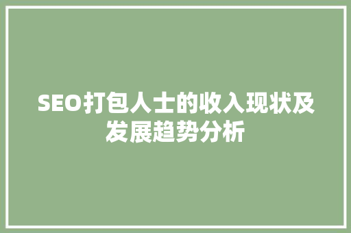 SEO打包人士的收入现状及发展趋势分析