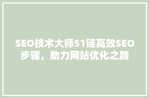 SEO技术大师51链高效SEO步骤，助力网站优化之路