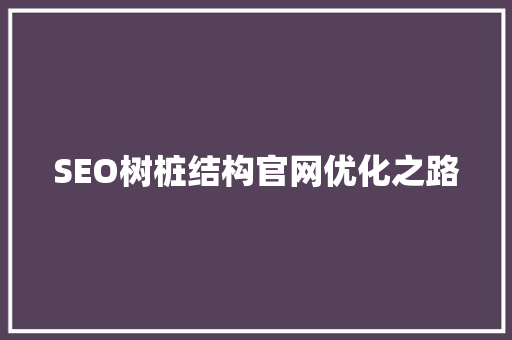 SEO树桩结构官网优化之路  第1张
