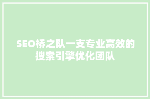 SEO桥之队一支专业高效的搜索引擎优化团队