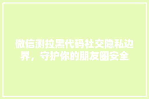 微信测拉黑代码社交隐私边界，守护你的朋友圈安全