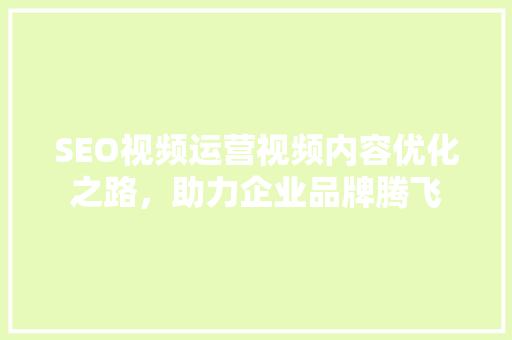 SEO视频运营视频内容优化之路，助力企业品牌腾飞  第1张