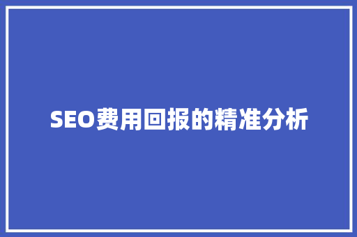 SEO费用回报的精准分析