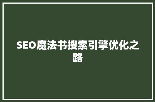 SEO魔法书搜索引擎优化之路