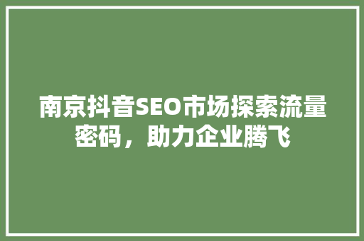 南京抖音SEO市场探索流量密码，助力企业腾飞