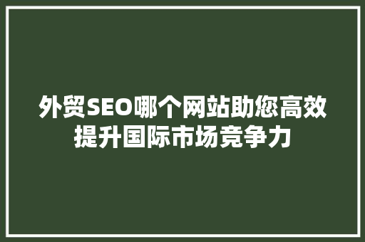外贸SEO哪个网站助您高效提升国际市场竞争力