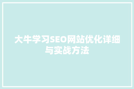 大牛学习SEO网站优化详细与实战方法