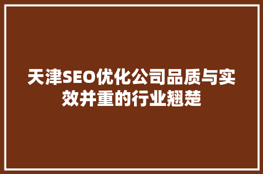 天津SEO优化公司品质与实效并重的行业翘楚