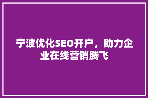 宁波优化SEO开户，助力企业在线营销腾飞