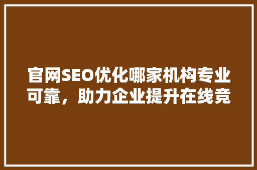 官网SEO优化哪家机构专业可靠，助力企业提升在线竞争力  第1张