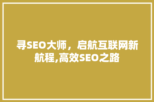 寻SEO大师，启航互联网新航程,高效SEO之路