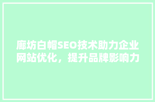 廊坊白帽SEO技术助力企业网站优化，提升品牌影响力