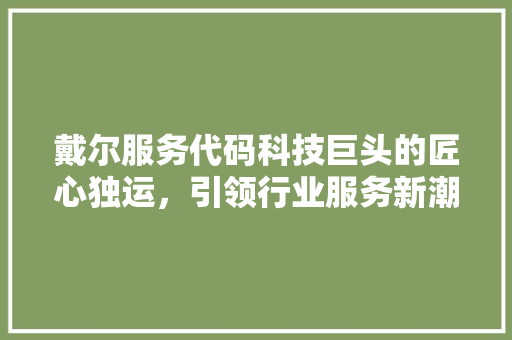 戴尔服务代码科技巨头的匠心独运，引领行业服务新潮流
