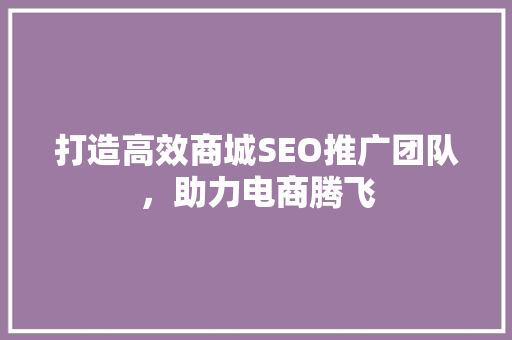 打造高效商城SEO推广团队，助力电商腾飞