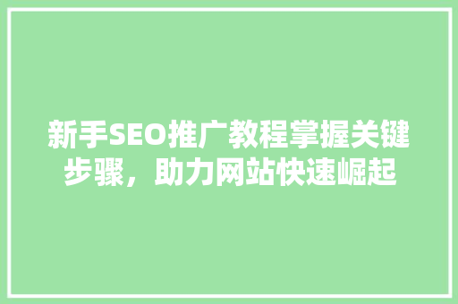 新手SEO推广教程掌握关键步骤，助力网站快速崛起