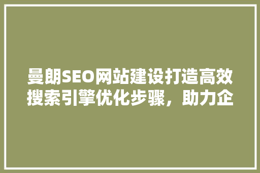 曼朗SEO网站建设打造高效搜索引擎优化步骤，助力企业腾飞