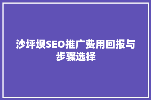 沙坪坝SEO推广费用回报与步骤选择  第1张