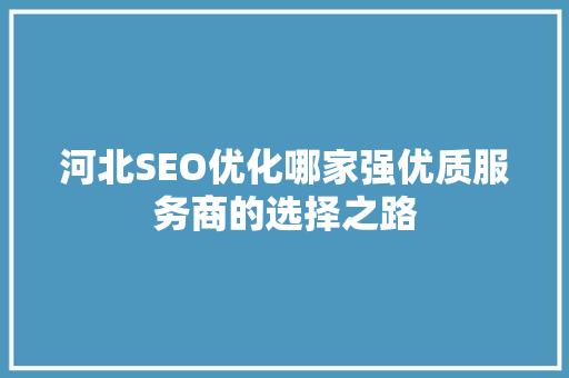 河北SEO优化哪家强优质服务商的选择之路