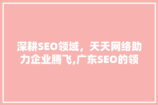 深耕SEO领域，天天网络助力企业腾飞,广东SEO的领航者