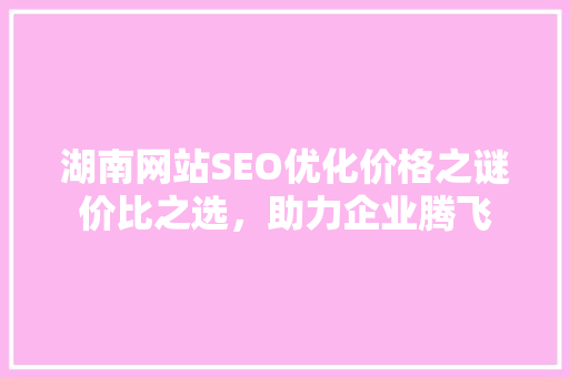湖南网站SEO优化价格之谜价比之选，助力企业腾飞