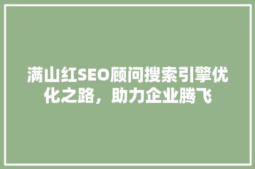 满山红SEO顾问搜索引擎优化之路，助力企业腾飞  第1张