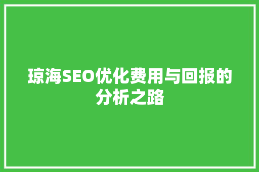 琼海SEO优化费用与回报的分析之路