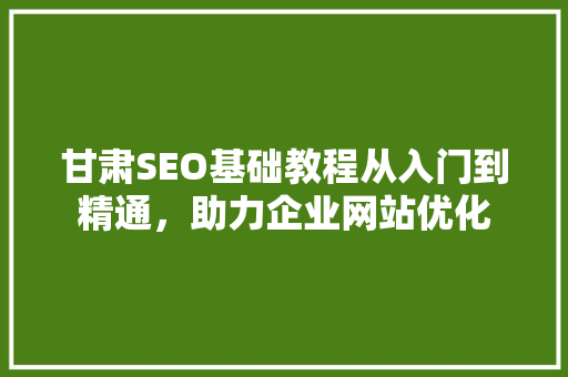 甘肃SEO基础教程从入门到精通，助力企业网站优化
