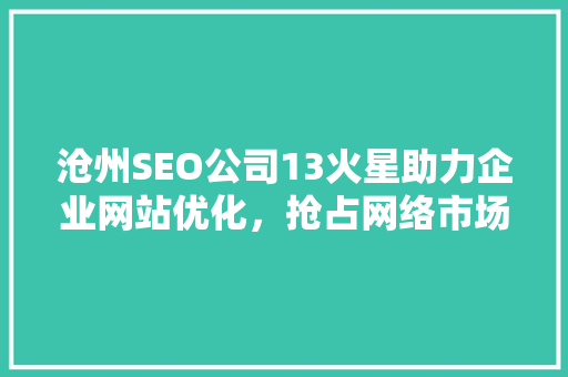沧州SEO公司13火星助力企业网站优化，抢占网络市场先机