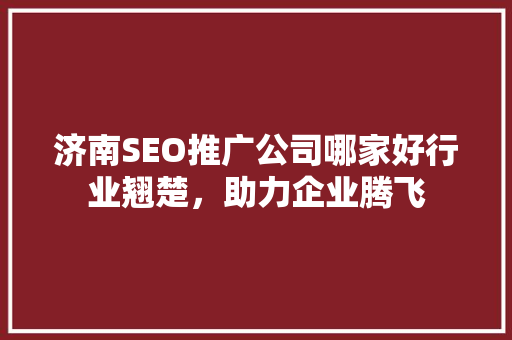 济南SEO推广公司哪家好行业翘楚，助力企业腾飞