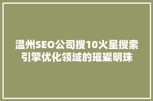 温州SEO公司搜10火星搜索引擎优化领域的璀璨明珠