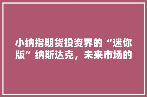 小纳指期货投资界的“迷你版”纳斯达克，未来市场的新宠