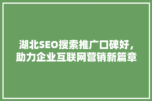 湖北SEO搜索推广口碑好，助力企业互联网营销新篇章
