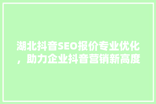湖北抖音SEO报价专业优化，助力企业抖音营销新高度