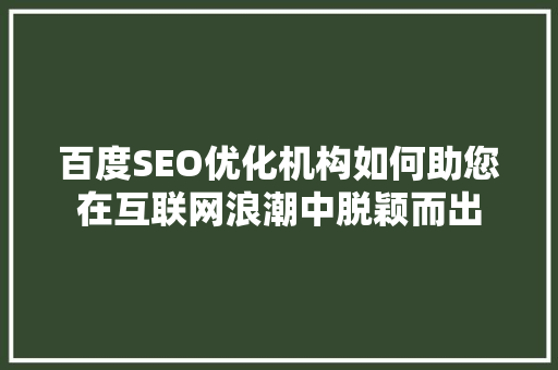 百度SEO优化机构如何助您在互联网浪潮中脱颖而出