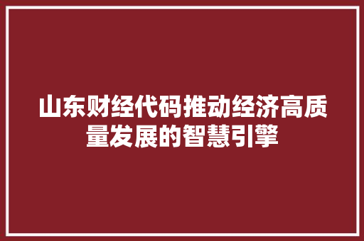 山东财经代码推动经济高质量发展的智慧引擎