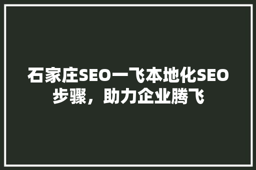 石家庄SEO一飞本地化SEO步骤，助力企业腾飞