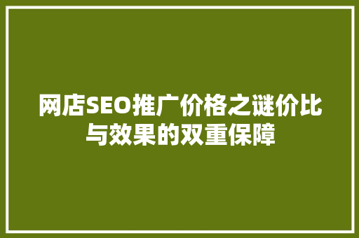 网店SEO推广价格之谜价比与效果的双重保障