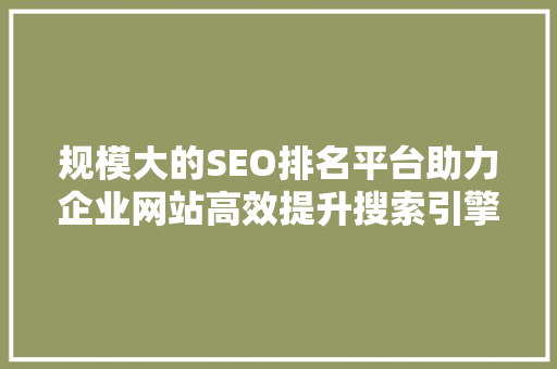 规模大的SEO排名平台助力企业网站高效提升搜索引擎排名