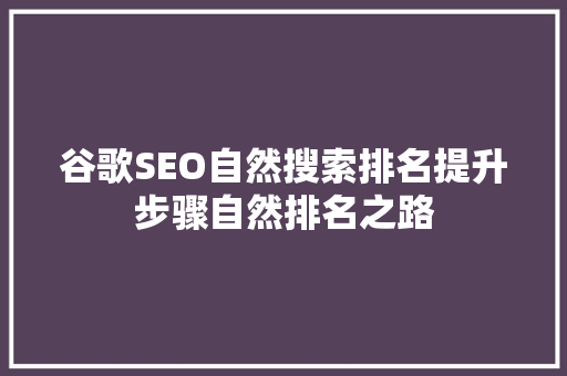谷歌SEO自然搜索排名提升步骤自然排名之路
