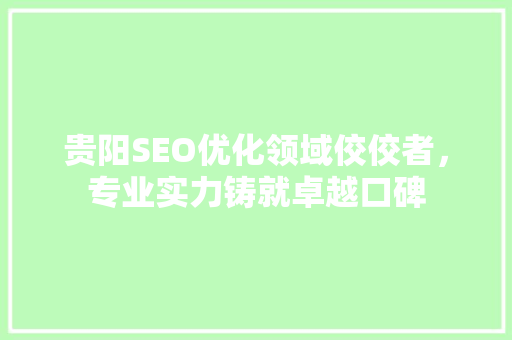 贵阳SEO优化领域佼佼者，专业实力铸就卓越口碑