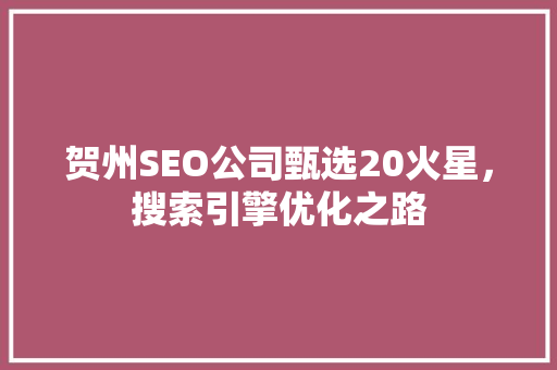 贺州SEO公司甄选20火星，搜索引擎优化之路  第1张