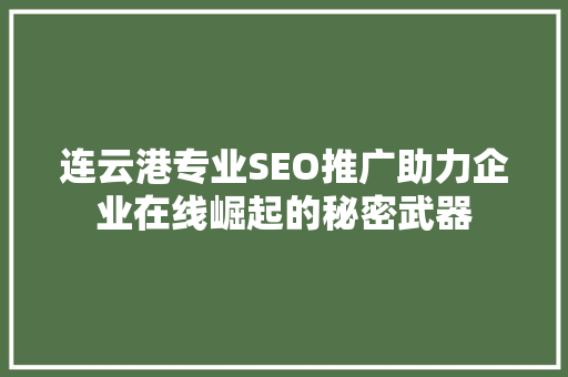 连云港专业SEO推广助力企业在线崛起的秘密武器